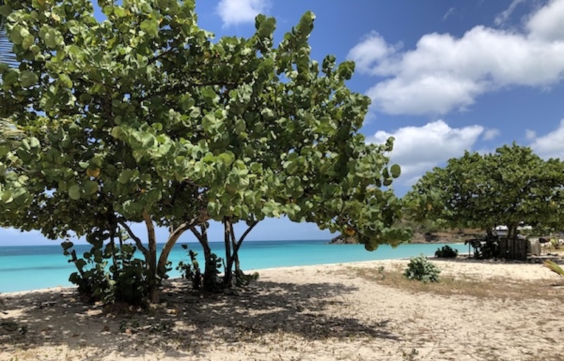 What We Love About Antigua: Our Experience