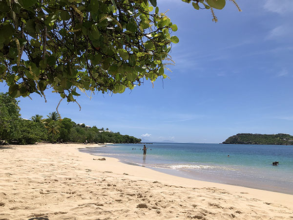 pigeon point beach antigua